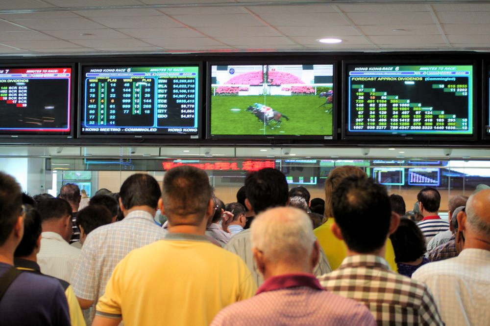 betting horse racing